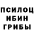 Галлюциногенные грибы прущие грибы Maxim Golokolenov