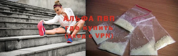 прущие грибы Абинск