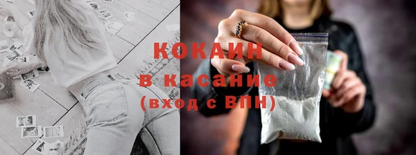 прущие грибы Абинск