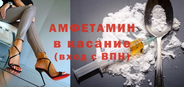 прущие грибы Абинск